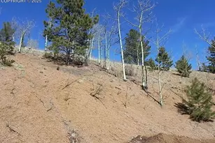 185 No Name Ln, Cripple Creek, CO 80813 - Photo 1