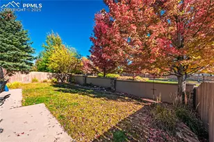 5035 Petrified Forest Trail, Colorado Springs, CO 80924 - Photo 43