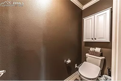 5035 Petrified Forest Trail, Colorado Springs, CO 80924 - Photo 31