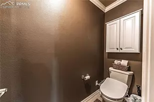 5035 Petrified Forest Trail, Colorado Springs, CO 80924 - Photo 31