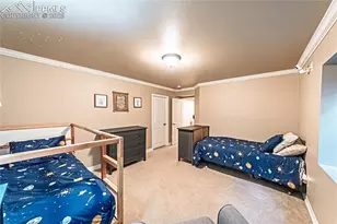 5035 Petrified Forest Trail, Colorado Springs, CO 80924 - Photo 39