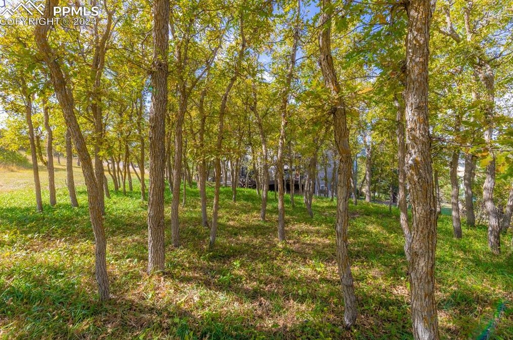 18475 Lower Lake Rd, Woodmoor CO 80132-9042 exterior