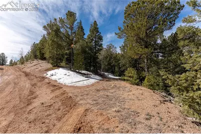 81 Haven Road, Divide, CO 80814 - Photo 23