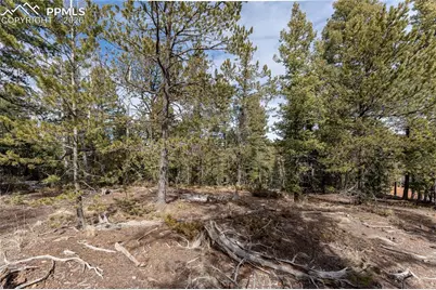 81 Haven Road, Divide, CO 80814 - Photo 19