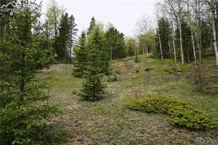 Vacant Land, Cripple Creek, CO 80813 - Photo 1