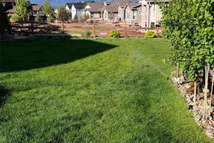 1955 Ruffino Dr, Colorado Springs, CO 80921 - Photo 41