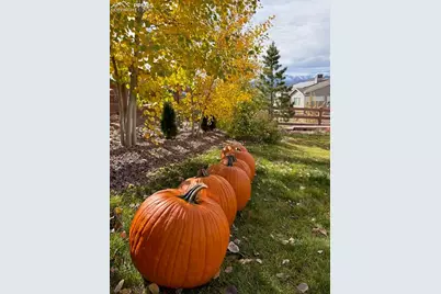 1955 Ruffino Drive, Colorado Springs, CO 80921 - Photo 45