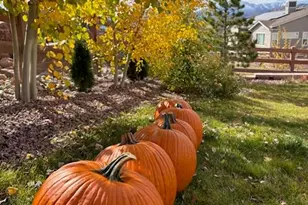 1955 Ruffino Dr, Colorado Springs, CO 80921 - Photo 45