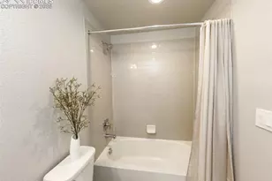 1955 Ruffino Dr, Colorado Springs, CO 80921 - Photo 37