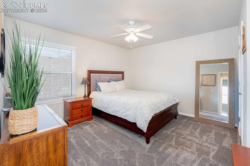 10446 Stonewillow Dr, Parker CO  80134-2503 exterior