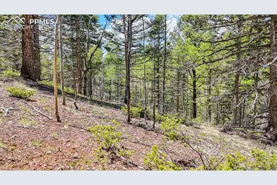 Lot 60 Monarch Drive, Cripple Creek, CO 80813 - Photo 27