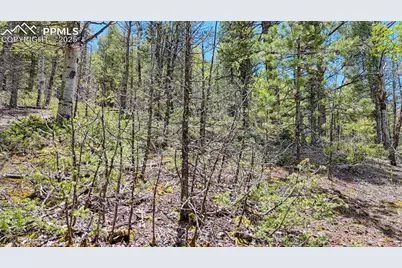 Lot 60 Monarch Drive, Cripple Creek, CO 80813 - Photo 19