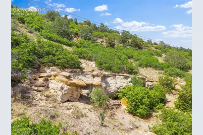 4124 Lupine Street, Colorado Springs, CO 80918 - Photo 39
