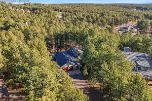 220 Cobblestone Way, Monument, CO 80132 - Photo 43