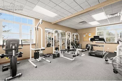 7641 Marmot Point, Colorado Springs, CO 80922 - Photo 33