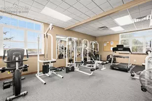 7641 Marmot Point, Colorado Springs, CO 80922 - Photo 33