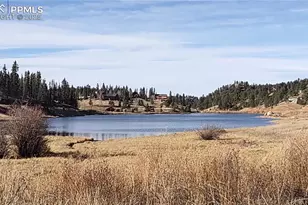 97 Shadow Lake Dr, Divide, CO 80814 - Photo 41