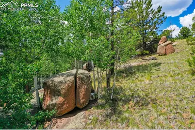 549 Spring Valley Lane, Florissant, CO 80816 - Photo 5