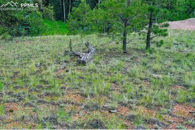 549 Spring Valley Lane, Florissant, CO 80816 - Photo 9