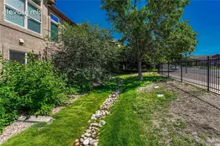 8443 Grand Carriage Grove, Colorado Springs, CO 80920 - Photo 43