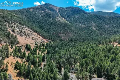 4560 Canonwood Road, Colorado Springs, CO 80906 - Photo 49