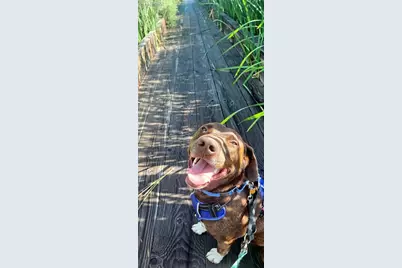 12900 Sunrise Ridge Drive, Peyton, CO 80831 - Photo 47