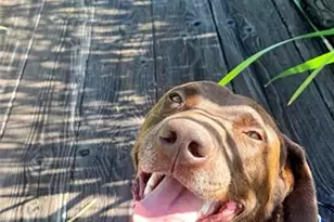 12900 Sunrise Ridge Dr, Peyton, CO 80831 - Photo 47