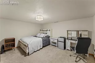 510 Banner Trail, Florissant, CO 80816 - Photo 45