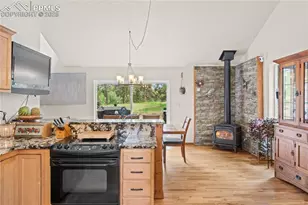 510 Banner Trail, Florissant, CO 80816 - Photo 11