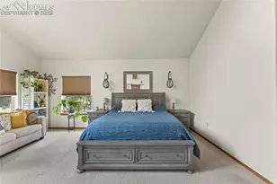 510 Banner Trail, Florissant, CO 80816 - Photo 37