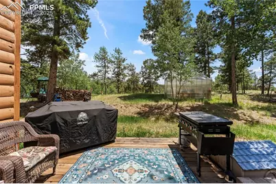 510 Banner Trail, Florissant, CO 80816 - Photo 47