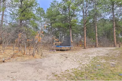 19795 Sleepy Hollow Road, Monument, CO 80132 - Photo 47