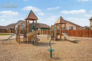10349 Desert Bloom Way, Colorado Springs, CO 80925 - Photo 43