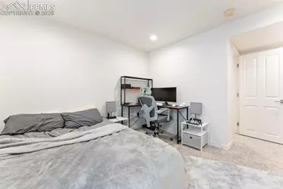 1442 Lookout Springs Drive, Colorado Springs, CO 80921 - Photo 43