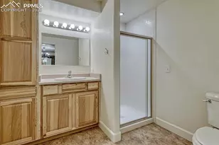 339 Sandreed Pl, Colorado Springs, CO 80921 - Photo 39