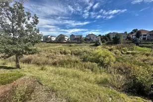 6463 Bluffmont Pt, Colorado Springs, CO 80923 - Photo 3