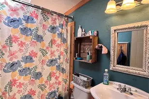 434 Blue Mountain Dr, Florissant, CO 80816 - Photo 3