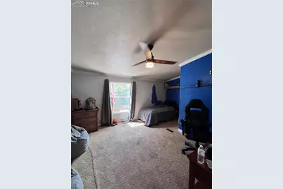 434 Blue Mountain Drive, Florissant, CO 80816 - Photo 17