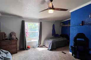 434 Blue Mountain Dr, Florissant, CO 80816 - Photo 17