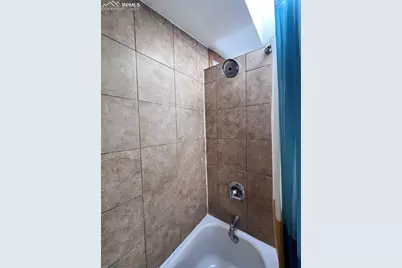 434 Blue Mountain Drive, Florissant, CO 80816 - Photo 9