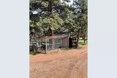 434 Blue Mountain Drive, Florissant, CO 80816 - Photo 19