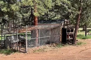 434 Blue Mountain Dr, Florissant, CO 80816 - Photo 19