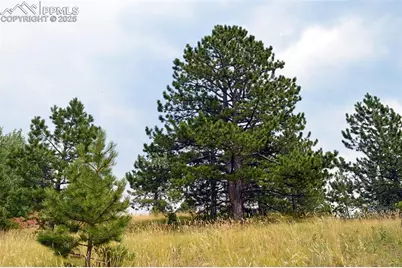 726 Copper Mountain Drive, Cripple Creek, CO 80813 - Photo 11