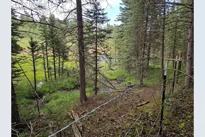 702 Lake Drive, Divide, CO 80814 - Photo 25