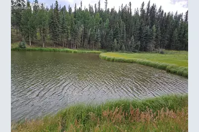 702 Lake Drive, Divide, CO 80814 - Photo 9