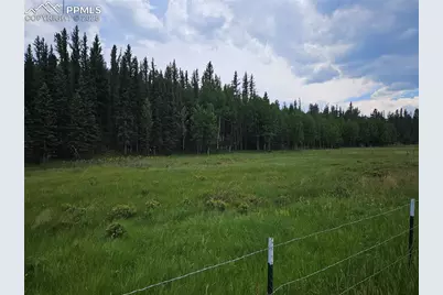 702 Lake Drive, Divide, CO 80814 - Photo 11