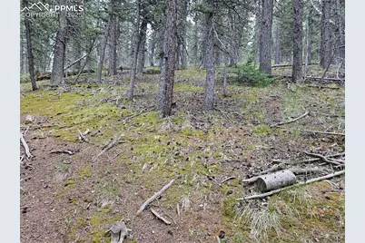 702 Lake Drive, Divide, CO 80814 - Photo 21