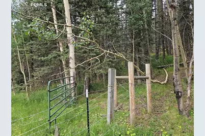 702 Lake Drive, Divide, CO 80814 - Photo 15