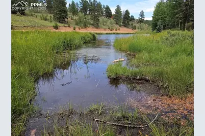 702 Lake Drive, Divide, CO 80814 - Photo 31