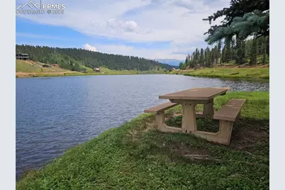 702 Lake Drive, Divide, CO 80814 - Photo 37